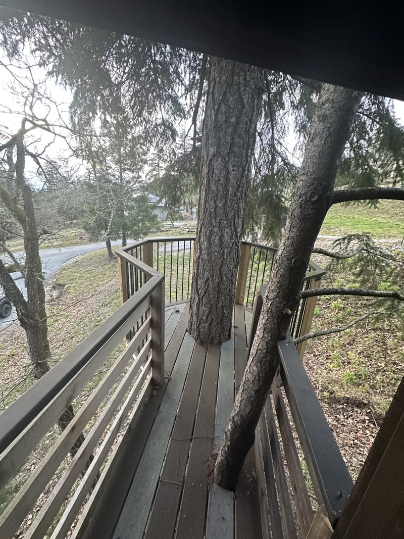 Custom treehouse — completed