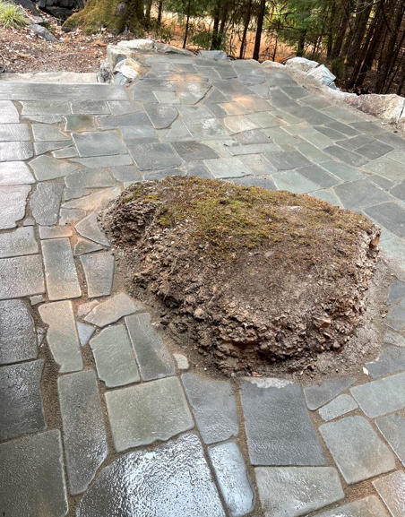Stone patio and fencing — completed