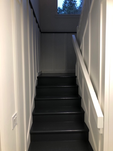 Basement suite renovation